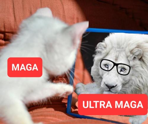 Ultra Magma II
