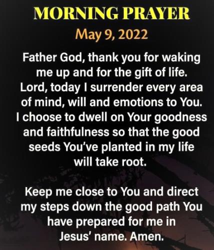 050922 - Good seeds