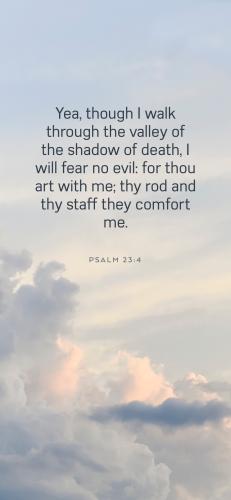 BB0CD494-551E-4F44-8E7A-2C59554B9446