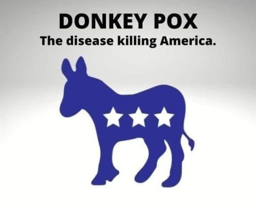 donkey pox