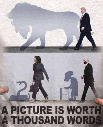 shadow of trump-biden