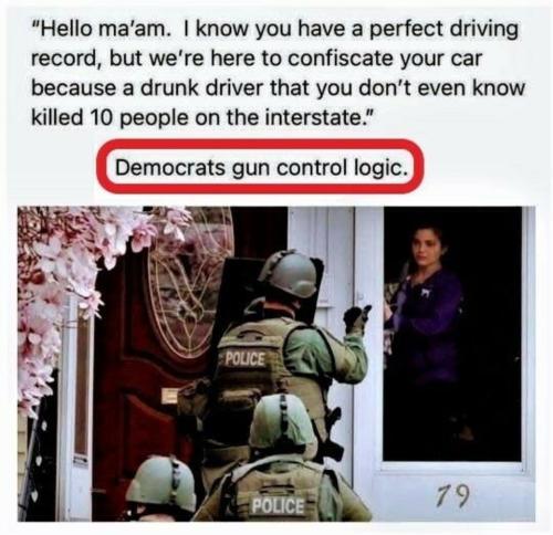 dem gun logic