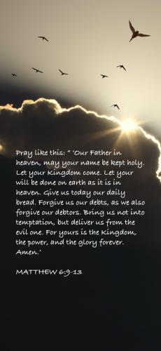 1F6ED473-95A2-47E4-84E4-AE39A54DFA25