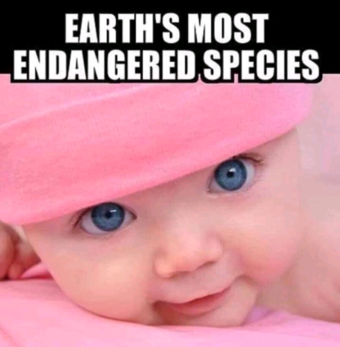 Capture+_2022-01-22-01-51-08(1)