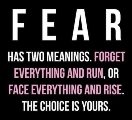 A9342FEE-6865-452C-BC51-9F9D9E4BED49