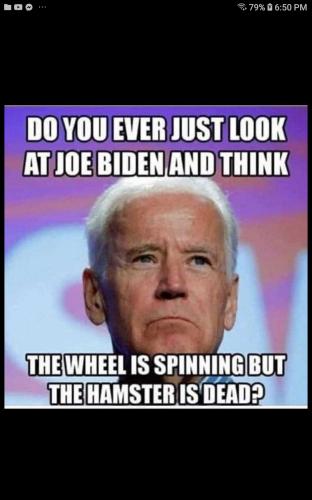 Screenshot_20220510-185058_Spreely