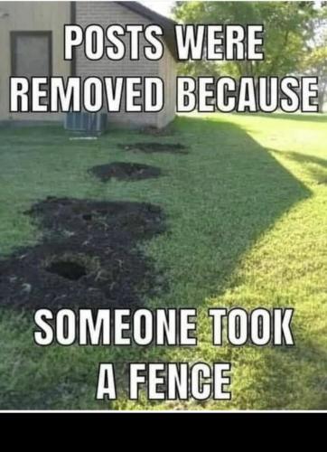 photo5175088412749834929