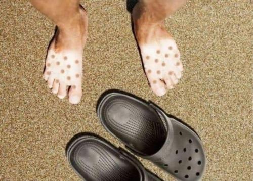 FB_IMG_1653181961915