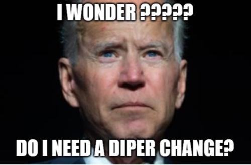 bideniwonderdiaper
