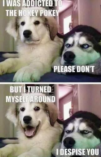 6B466C09-C8DE-42F2-9461-5B4C111E1265