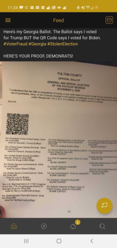 Fulton GA ballot