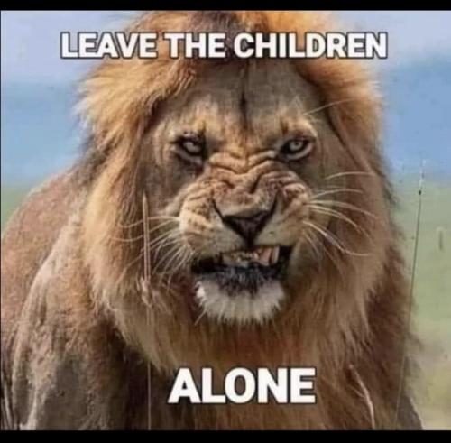 E6DFF316-08A5-4C15-9277-BF430C9F8584