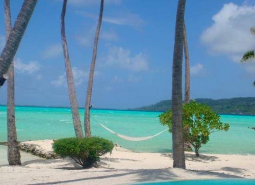 Beach - In paradise with hammock
