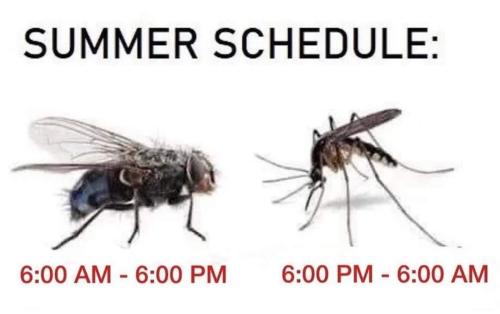 FB_IMG_1652662257752