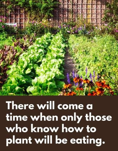 021efeaf-dd58-4061-b198-942a80e59da5