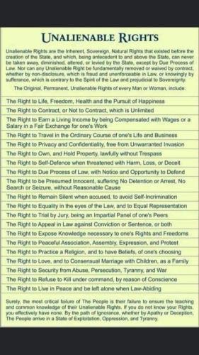 149290255_2831428753779159_2613620250260199847_n