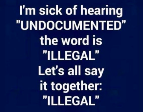 Illegal Invader
