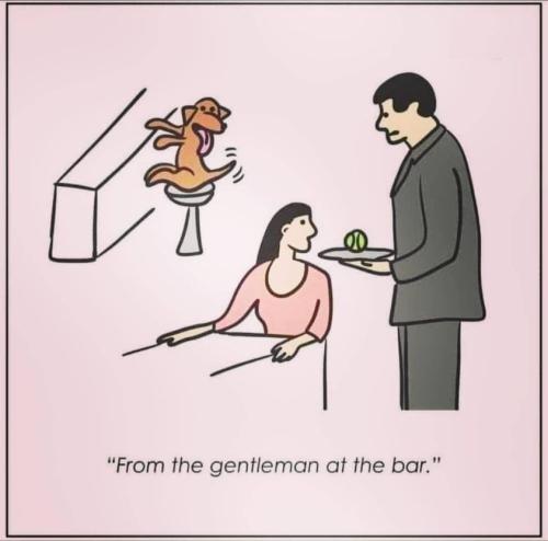 279175681_1904323589753957_1958268418813479026_n