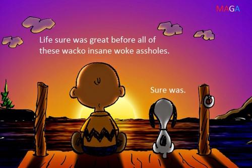 FB wacko woke