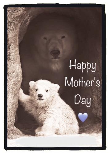 F4CBD330-772C-482A-B869-BC4B015B92FC