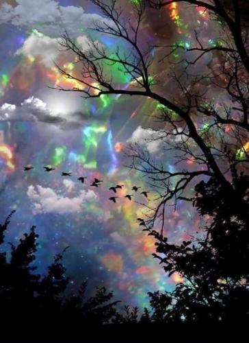 FB_IMG_1651497749057