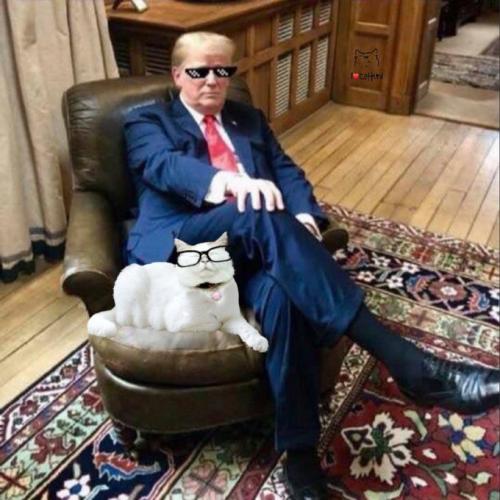 Trumps secod tweet