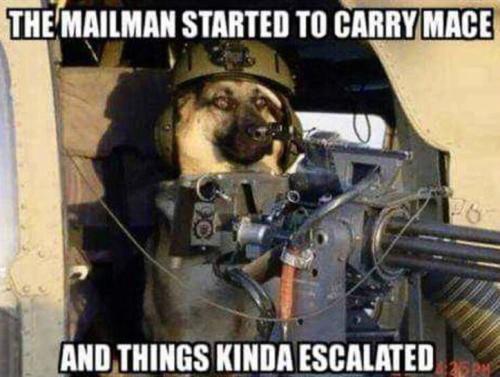 63DC4ECB-C060-4760-A1D9-EB57467EC96A