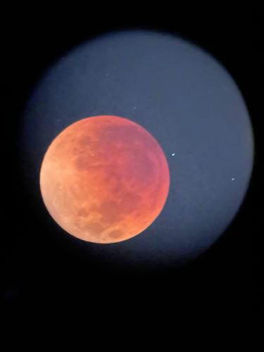 photo4904599292367448877