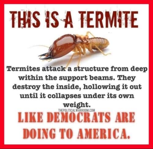 d4984fb795ff085a678026f5db578e26_1024