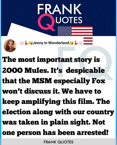 stolen election 2000 mules