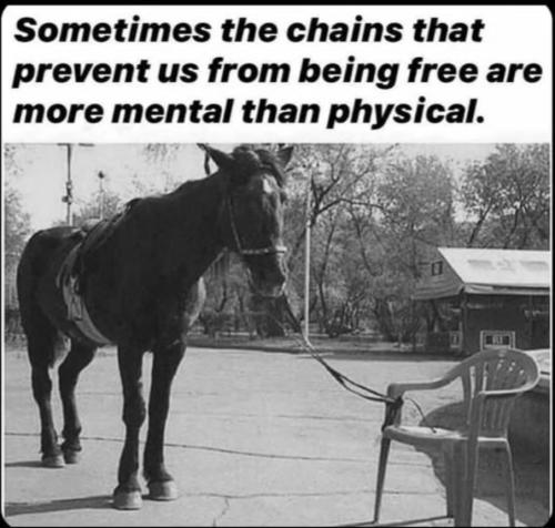 Screenshot_20211220-095043_Facebook