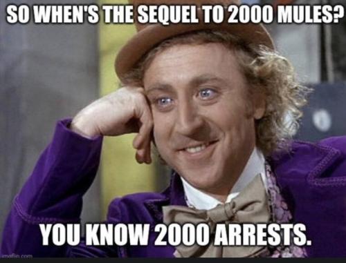 Sequel to 2000 Mules