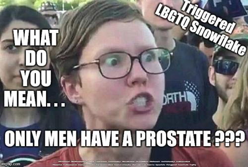 prostate