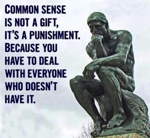 Common Sense is not