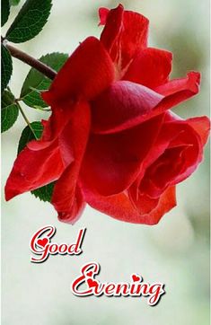 2a7ee6a8688cb023b90048f5846770af (1)