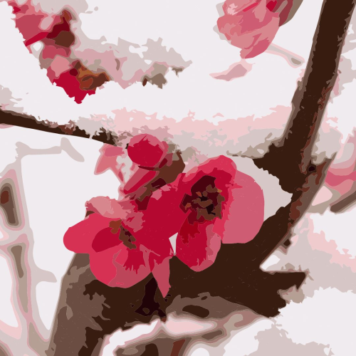 ColorPlanet_220520213122