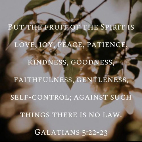 photo5143609412026477252