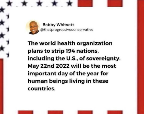 img - 2022-05-15T111209.290