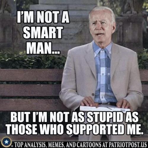 yes democrat voters ARE that stupid