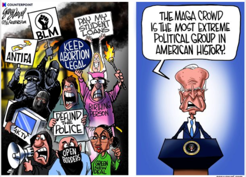 biden radicals