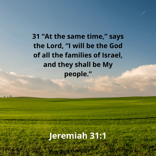 05B78C24E0E7FC2D3C931BC0B50C9DD5.bible117-min
