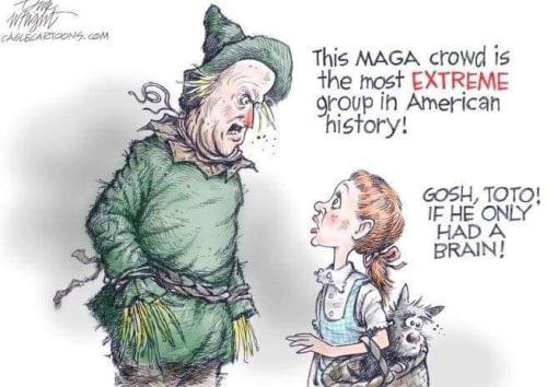 FB_IMG_1652910121716