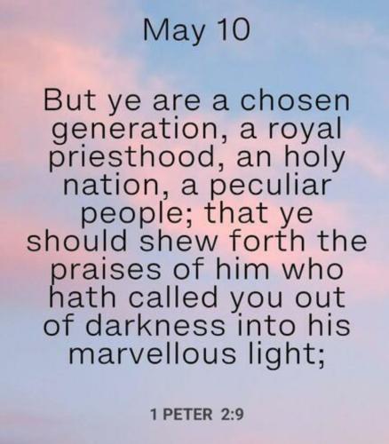 Screenshot_20220510-193226_Signal