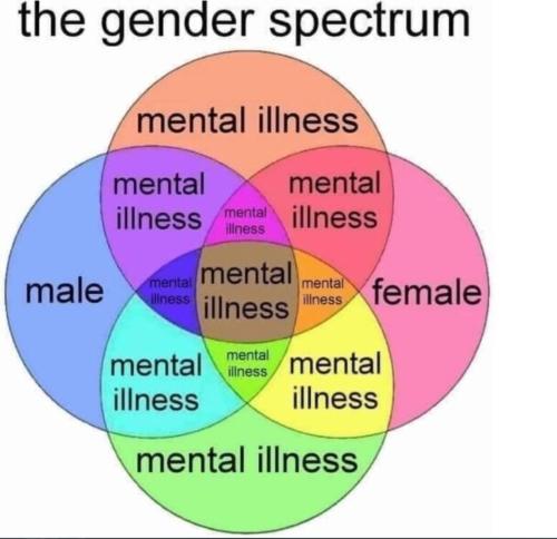 the gender spectrum