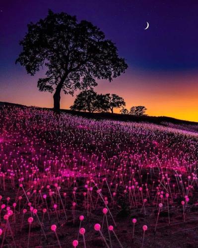 FB_IMG_1620787184806