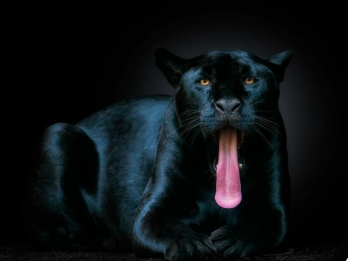 Screenshot_20220505-181858