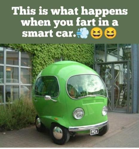 FB_IMG_1652281039885