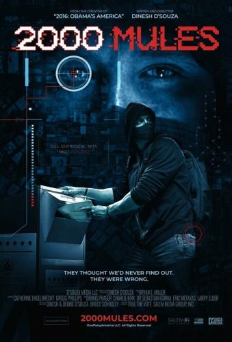 2000-Mules-3-695x1024