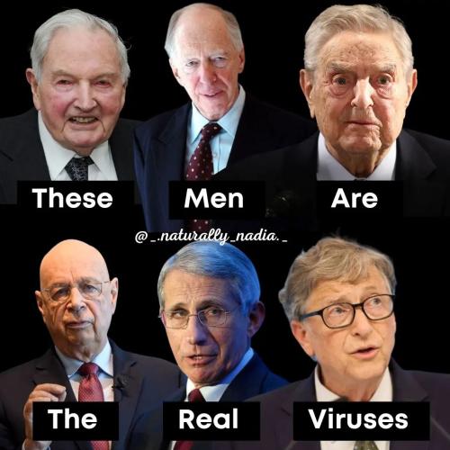 Viruses