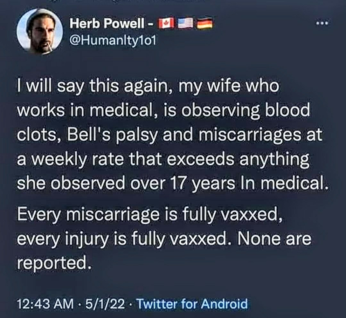 theirplanisworking